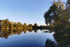 IMG-20221009-WA0003