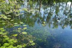 IMG-20221104-WA0000