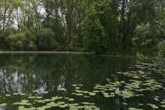 IMG-20221104-WA0004