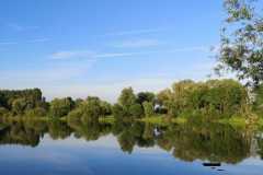 IMG-20221104-WA0005