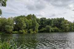 IMG-20221104-WA0006