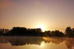 IMG-20221104-WA0009
