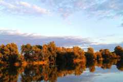 IMG-20221104-WA0012